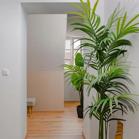 Appartement New Boho Design Altstadt - Free Parking By Hero Homes